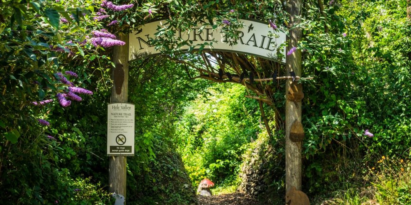 Devon Holiday Parks and Caravans for sale On Site